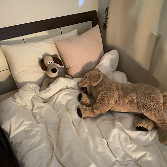https://www.yesbedding.co.kr/data/editor/2211/thumb-ae2c55ec9906f0e18ed83bb98c3b676b_1669444183_1744_330x330.jpg