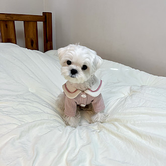 https://www.yesbedding.co.kr/data/editor/2212/thumb-2d2fac5e5a85f718c5dbba3609137064_1669910417_6372_330x330.jpg