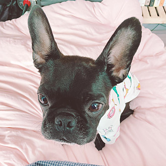 https://www.yesbedding.co.kr/data/editor/2212/thumb-b9dd852cf64367df2a3a77beed983849_1670337171_3545_330x330.jpg