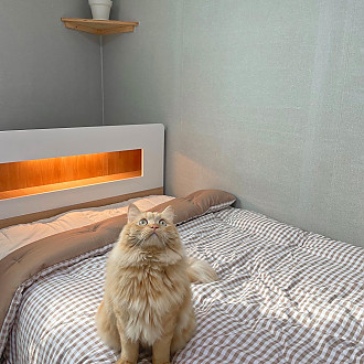 https://www.yesbedding.co.kr/data/editor/2212/thumb-bfbb151979b5c26a53c05962e86954e6_1671441815_6787_330x330.jpg