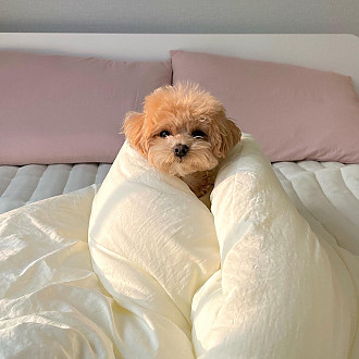 https://www.yesbedding.co.kr/data/editor/2212/thumb-faa1dbad353ac8d936139b5604f66709_1670464832_4983_330x330.jpg
