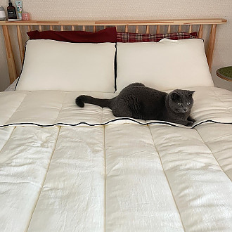 https://www.yesbedding.co.kr/data/editor/2301/thumb-2c646da6cba68ee3e165e2251ea15c33_1673153764_5844_330x330.jpg