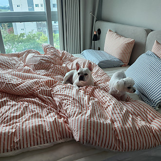 https://www.yesbedding.co.kr/data/editor/2410/thumb-e0d6beb9b2c4a1ffbe5e976644cff301_1728805871_6973_330x330.jpg