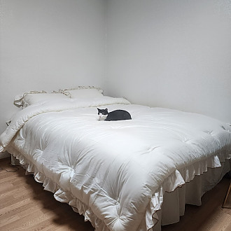 https://www.yesbedding.co.kr/data/editor/3390/thumb-3698987978_3y8rW6IO_3698987978_A5tYvVS1_262513141_DLZeGX8A_none_330x330.jpg