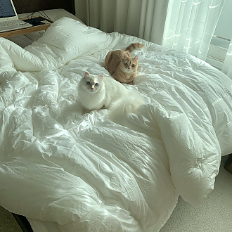 https://www.yesbedding.co.kr/data/editor/3390/thumb-3698987978_AuolQhFY_9017657ea34c75af35da87faac4624b1_1645604510_283_330x330.jpg