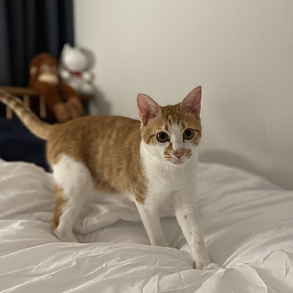 https://www.yesbedding.co.kr/data/editor/3390/thumb-3698987978_CpZdS6xF_b8170e048c5d99886497934a7eb0eb69_1650546552_4329_330x330.jpg