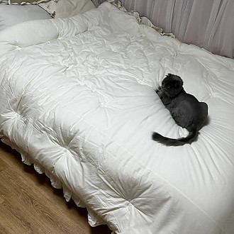 https://www.yesbedding.co.kr/data/editor/3390/thumb-3698987978_HTBCRwI7_3698987978_kcE5ArIl_262513141_XZa6b3lh_none_330x330.jpg