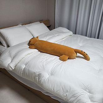 https://www.yesbedding.co.kr/data/editor/3390/thumb-3698987978_Nko0m9qH_262513141_a9HhwtYv_none_330x330.jpg