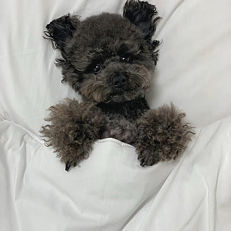 https://www.yesbedding.co.kr/data/editor/3390/thumb-3698987978_csir0VSb_d00fa126f956ce60a2e2d67ec0c290d6_1651288760_0155_330x330.jpg