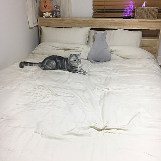 https://www.yesbedding.co.kr/data/editor/9999/thumb-262513141_79FQiSLK_none_330x330.jpg