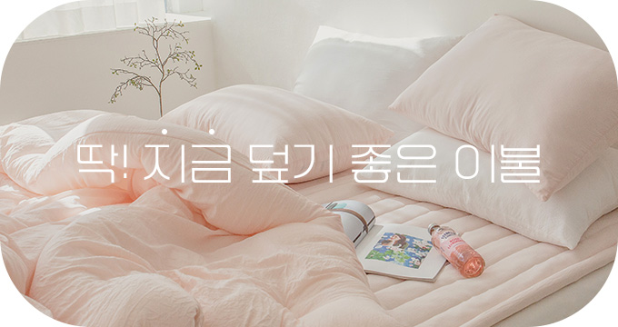사계절 침구 모아보기