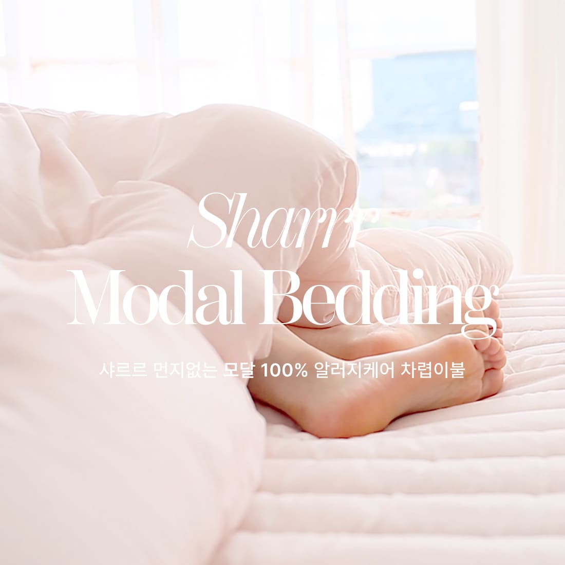 샤르르 먼지없는 모달 100% 차렵이불세트 알러지케어 호텔침구세트 3colors(SS/Q/K/LK)