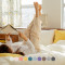 말랑푸딩 부드러운 먼지없는 차렵이불 10colors